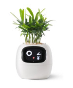Інтерактивний розумний горщик для рослин Ivy Smart Planter Tuya AI, White