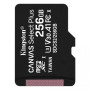 Карта пам'яті Kingston Canvas Select Plus microSDXC (UHS-1) 256Gb class 10, Black