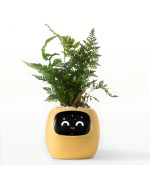 Інтерактивний розумний горщик для рослин Ivy Smart Planter Tuya AI, Yellow