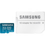 Карта памяти microSDXC Samsung EVO Select 256 Гб, Grey