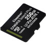 Карта пам'яті Kingston Canvas Select Plus microSDXC (UHS-1) 256Gb class 10, Black