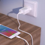 Мережевий зарядний пристрій BOROFONE BA68A Glacier 10.5W cable Type-C, White