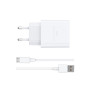Мережевий зарядний пристрій WIWU Essen GaN Wi-G023 2.4A з кабелем micro-USB, White