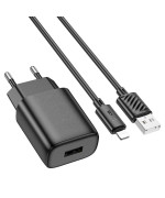 Сетевое зарядное устройство HOCO C134A Solid single-port 12 W, Black