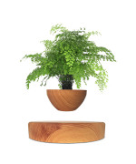 Магнітний левітаційний горщик для рослин HCNT Magnetic Levitating Pot M10-PS Wood Grain