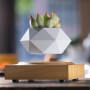 Магнитный левитационный горшок для растений HCNT Magnetic Levitating Pot M10-FP Wood Grain
