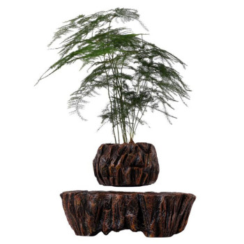 Магнітний левітаційний горщик для рослин HCNT Magnetic Levitating Pot M5B-PW, Brown