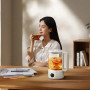 Розумний чайник Xiaomi Mijia Kettle S1 з перехідником на EU розетку 1000W, White