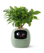 Інтерактивний розумний горщик для рослин Ivy Smart Planter Tuya AI, Green