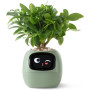 Інтерактивний розумний горщик для рослин Ivy Smart Planter Tuya AI, Green