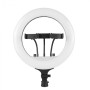 Кільцева лампа Fill Light RL-14 36cm з трьома тримачами для смартфона, Black