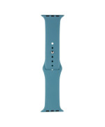 Ремінець Silicone One-Piece Size-S для Apple Watch 42 / 44mm, 65, Cactus color