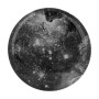 Держатель для телефона PopSocket Circle, Pug 07