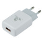 Мережевий зарядний пристрій Ridea RW-11211 Element USB 2.1A USB-Type-C, White