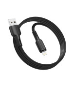 USB Data-кабель Ridea RC-CO10 CommonPro 12W 2,4A Lightning 1m, Black