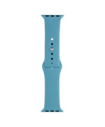 Ремінець Silicone One-Piece Size-S для Apple Watch 38 / 40mm, 65, Cactus color