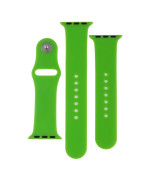 Ремінець Silicone Two-Piece для Apple Watch 38 / 40mm, 40, Shiny green