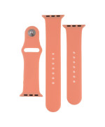 Ремешок Silicone Two-Piece для Apple Watch 38 / 40mm, 52, Waterlemon