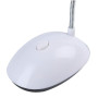 Настільна LED лампа X-7188 (на батарейках), White