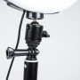 Кільцева лампа LED  XO L08/SJ26 26см з тримачем, Black