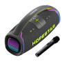 Портативна безпровідна Bluetooth колонка з мікрофоном HOPESTAR A65 300W ВТ 5.3, Black