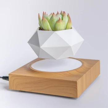 Магнітний левітаційний горщик для рослин HCNT Magnetic Levitating Pot M10-FP Wood Grain