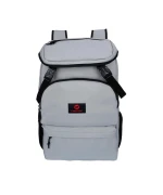 Рюкзак Tigernu T-B3210 15.6", Silver Grey