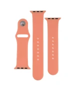 Ремінець Silicone Two-Piece для Apple Watch 38 / 40mm, 52, Waterlemon