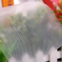 Харчові пакети для вакууматора 10*15см*190мкм (для вакуумування та зберігання продуктів) 100 шт